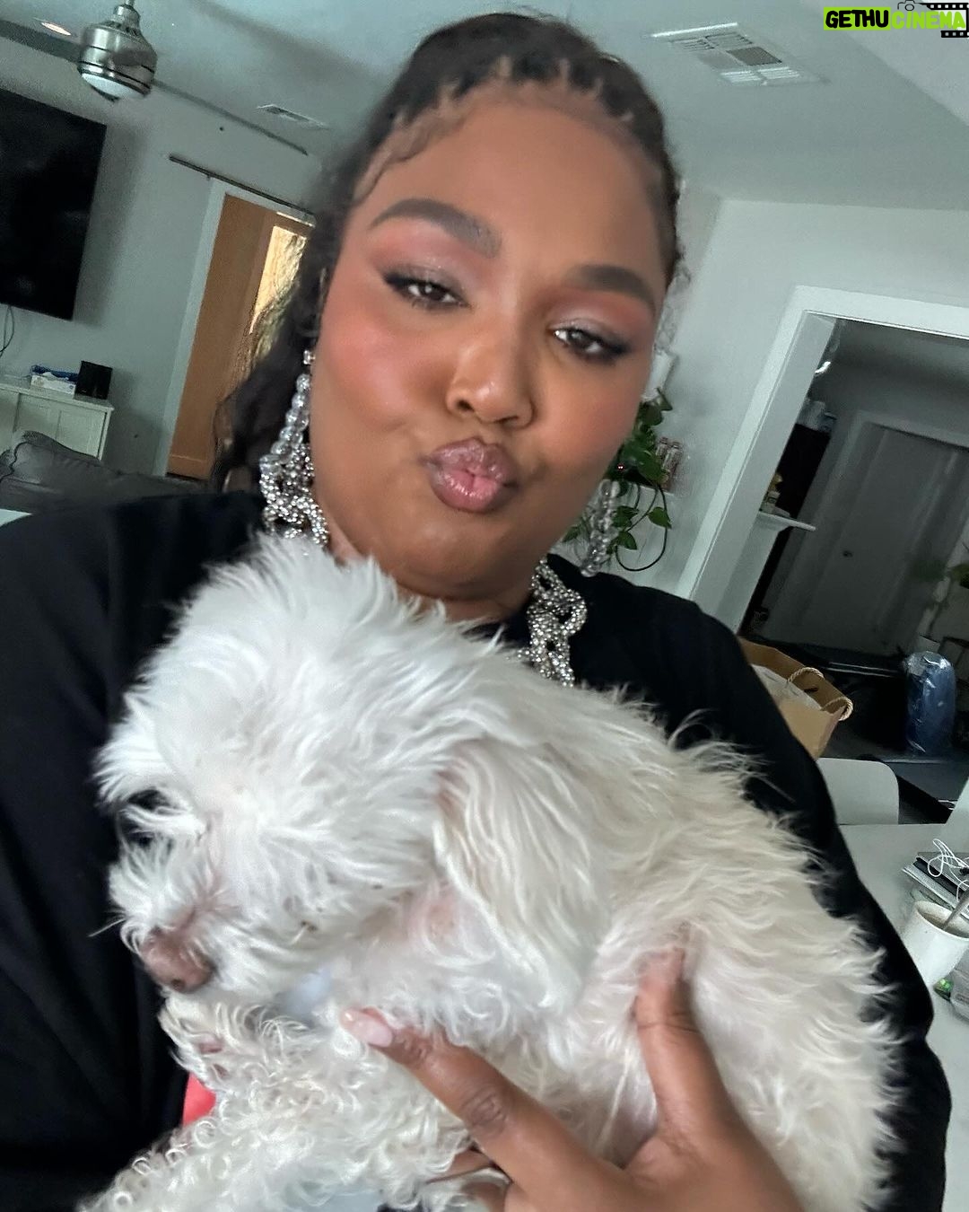 Lizzo Instagram - I’m not ok im so heartbroken rip Pooka