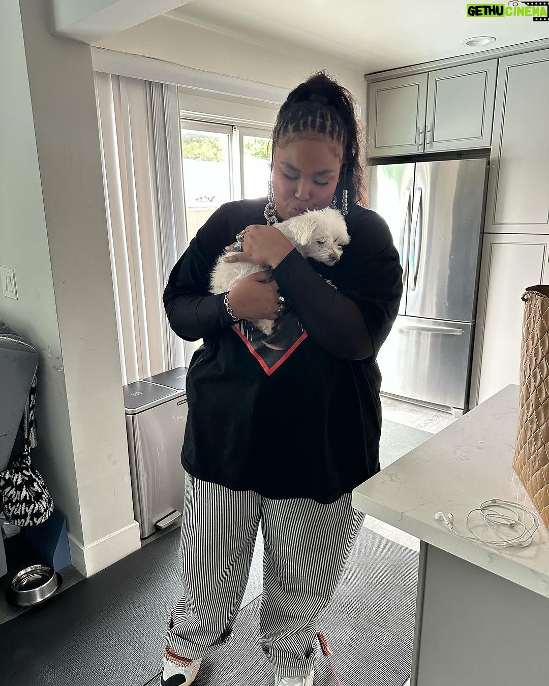 Lizzo Instagram - I’m not ok im so heartbroken rip Pooka