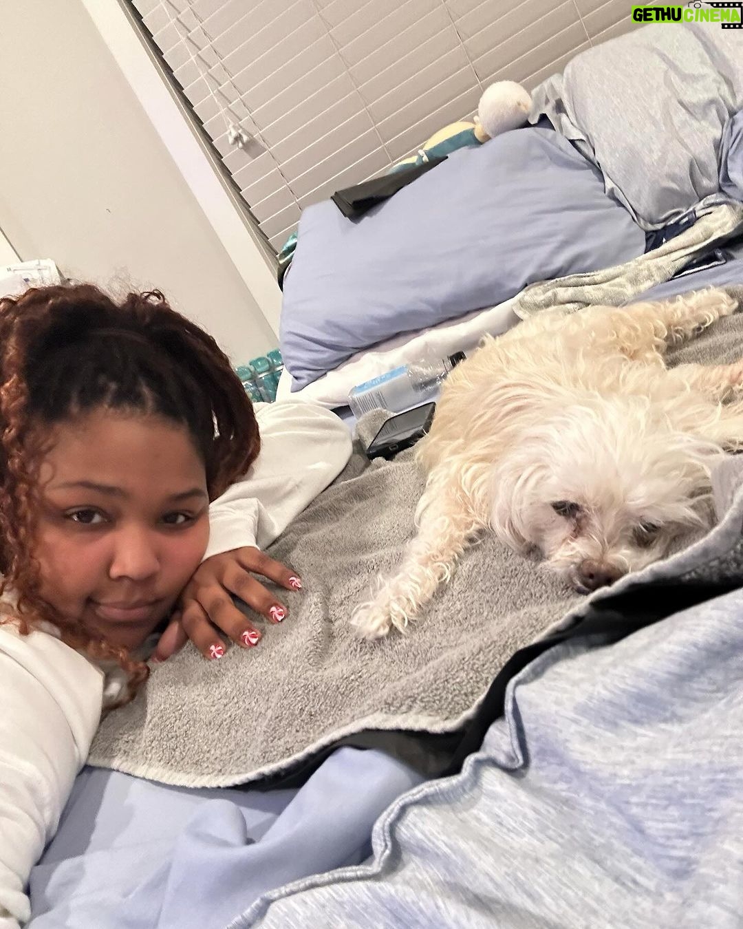 Lizzo Instagram - I’m not ok im so heartbroken rip Pooka