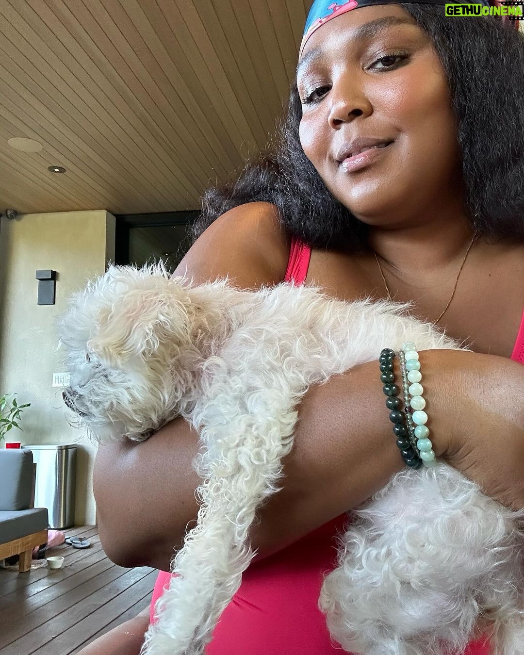 Lizzo Instagram - I’m not ok im so heartbroken rip Pooka