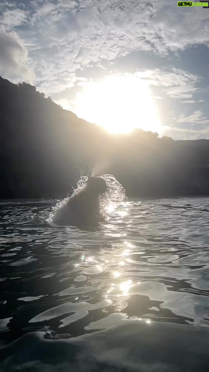 Lizzo Instagram - Saving the orcas one hair whip at a time 🧜🏾♀️