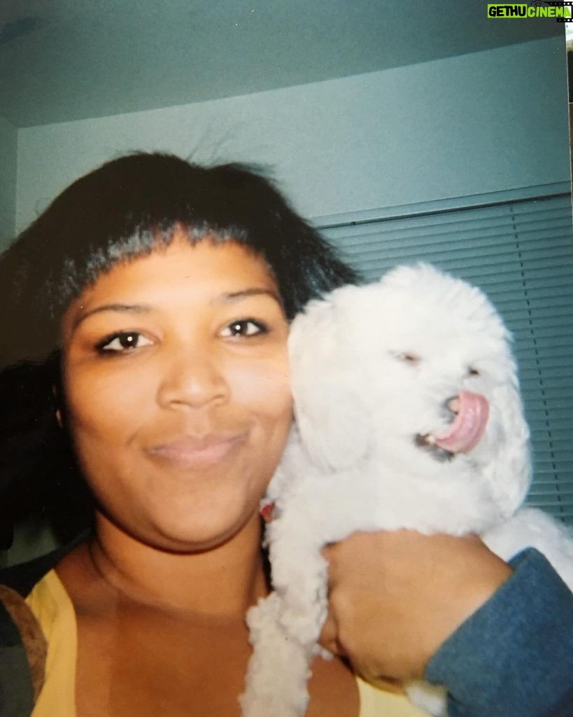 Lizzo Instagram - I have cried every day. I miss you Pooka. So so much. Thank you for almost 20 years of love🐾💎