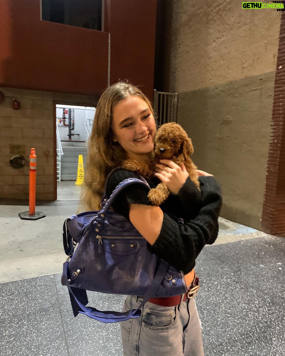 Lizzy Greene Instagram - puppies and paint