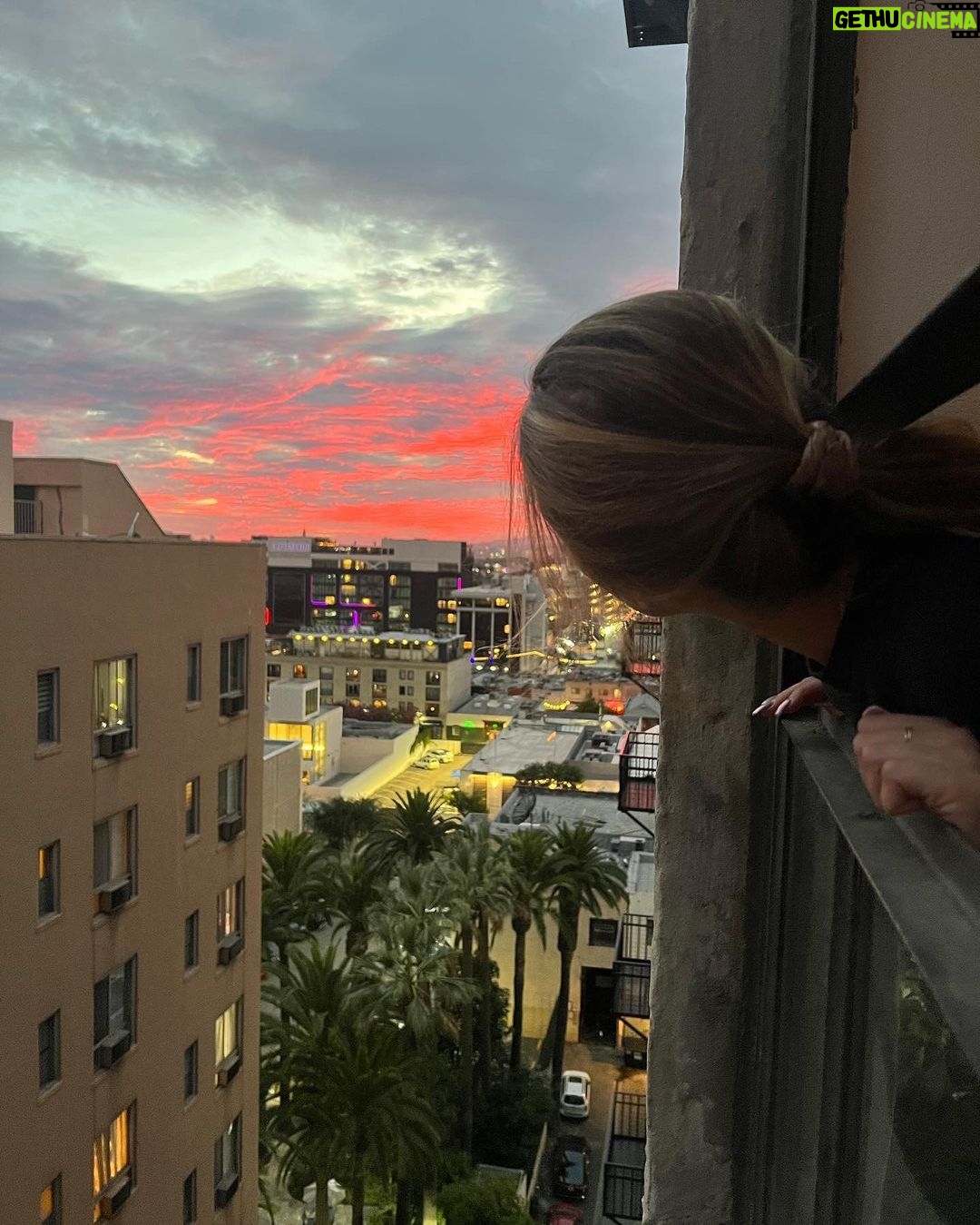 Lizzy Greene Instagram - puppies and paint