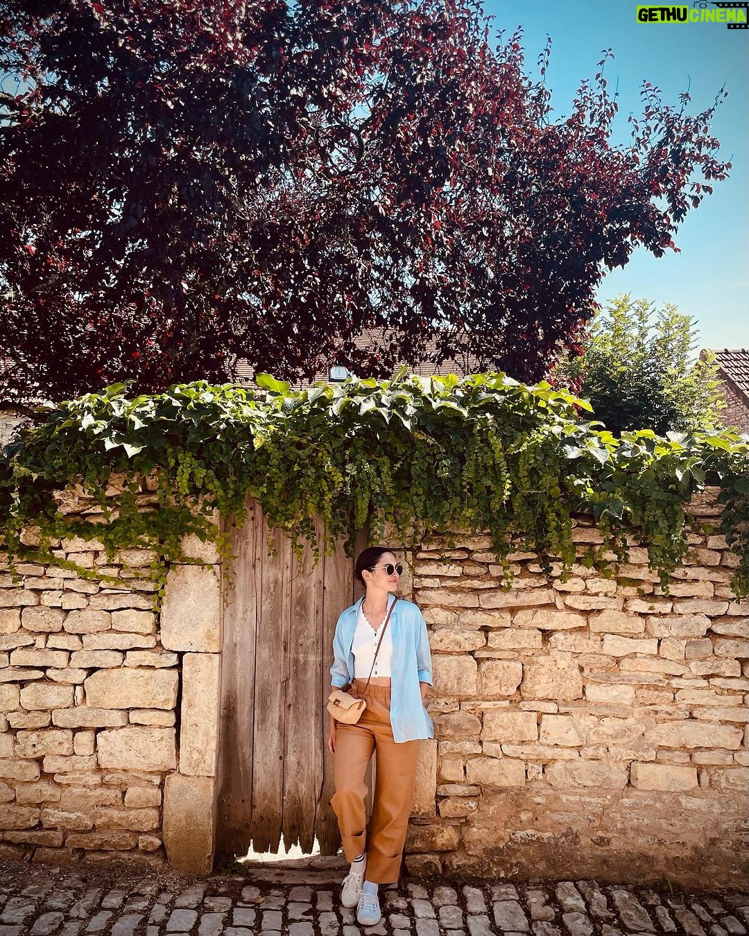 Lodovica Comello Instagram - Di giornate goderecce 馃崈 C么te-d'Or