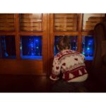 Lodovica Comello Instagram - Mi ricordo che facevo la stessa identica cosa. A casa della nonna spiavo il cielo da sotto la serranda, in silenzio e col batticuore, sperando di veder passare Babbo Natale ✨ Magia che si tramanda e si conserva