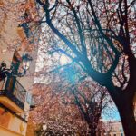 Lodovica Comello Instagram - Que a gusto estoy, que bien me he quedao 💛 Madrid, Spain