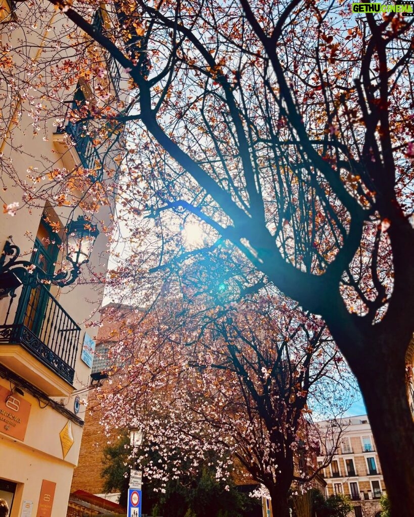 Lodovica Comello Instagram - Que a gusto estoy, que bien me he quedao 💛 Madrid, Spain
