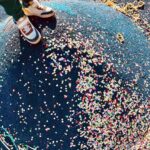 Lodovica Comello Instagram - È il periodo dell’anno in cui trovi coriandoli in anfratti del corpo che non sapevi di avere 🤹🏻‍♀️ Isola District of Milan