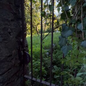 Logan Lerman Instagram - Italy