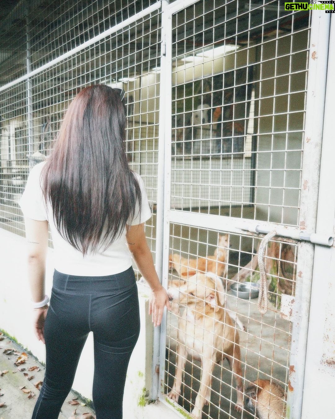 Loisa Andalio Instagram - πΎπ¦΄β¨ππΆπ±