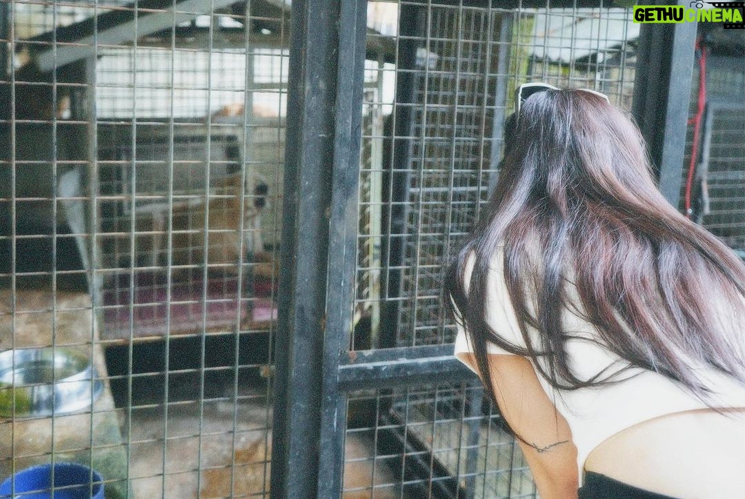 Loisa Andalio Instagram - πΎπ₯Ήπ€π»π€π§© @pawssionproject