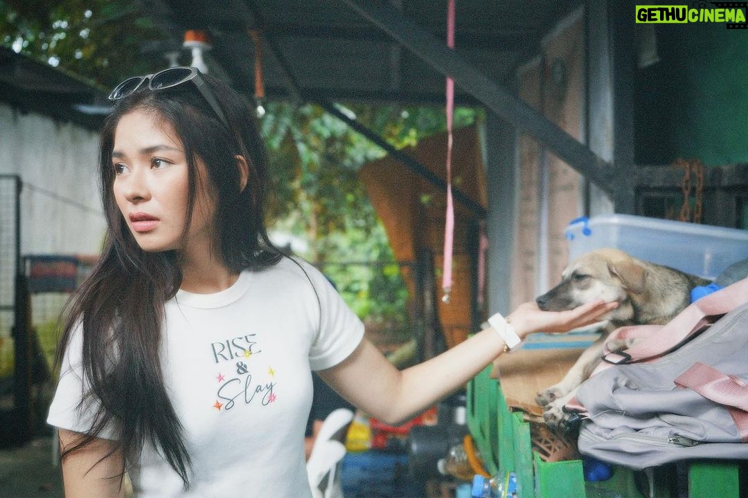 Loisa Andalio Instagram - πΎπ₯Ήπ€π»π€π§© @pawssionproject