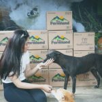Loisa Andalio Instagram - 🐾🥹🤝🏻🤍🧩 @pawssionproject