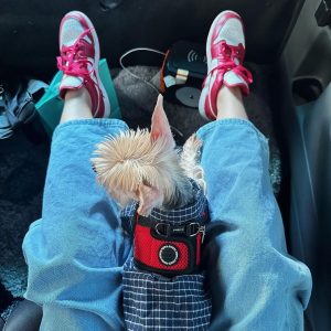 Loisa Andalio Instagram - <<<<< last clip winner🤣🫶🏻🤦🏻‍♀️🐶