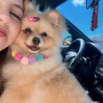 Lorena Queiroz Instagram - 🐶💖