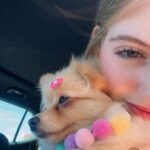 Lorena Queiroz Instagram - 🐶💖