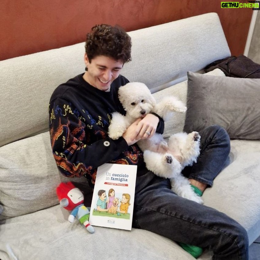 Lorenzo Ostuni Instagram - Mi hanno regalato il “Libro Cucciolo” ma io qua vedo solo lupi 🐺 @saluteanimale #SaluteAnimale #MyLav #adv