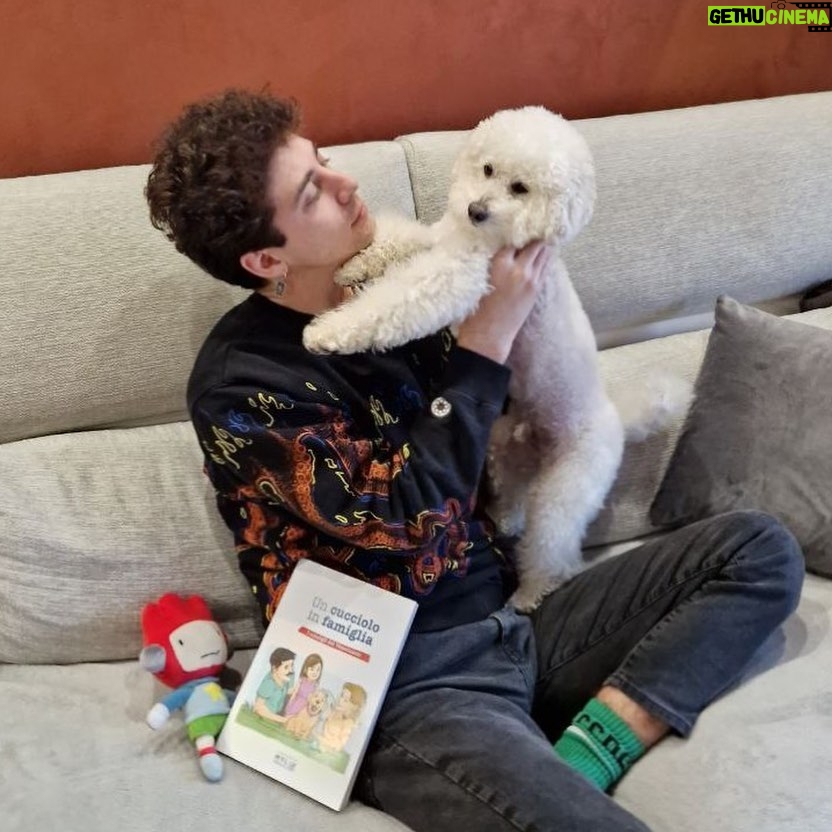 Lorenzo Ostuni Instagram - Mi hanno regalato il “Libro Cucciolo” ma io qua vedo solo lupi 🐺 @saluteanimale #SaluteAnimale #MyLav #adv