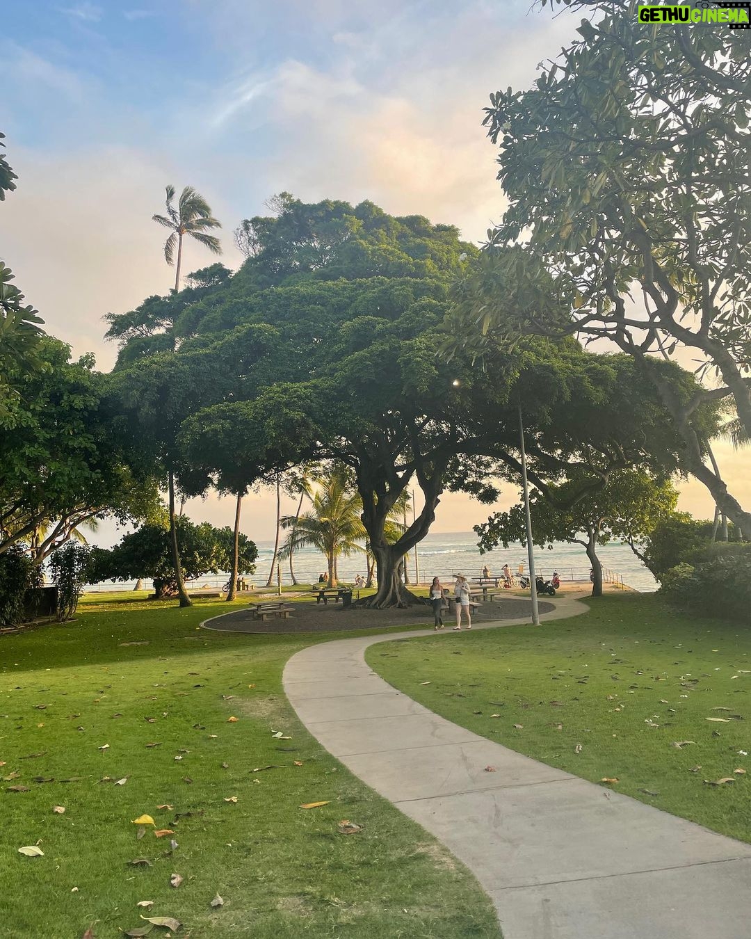 Lorenzo Ostuni Instagram - Come sono realmente le Hawaii 🏝 Prima parte online ora sul canale, fatemi sapere che ne pensate ✌🏻