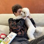 Lorenzo Ostuni Instagram - Mi hanno regalato il “Libro Cucciolo” ma io qua vedo solo lupi 🐺 @saluteanimale #SaluteAnimale #MyLav #adv