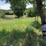 Lorenzo Ostuni Instagram - Se volete sentire la mia soave voce mentre siete appoggiati ad un albero, vi basta portare in vacanza l’iPad con @disneyplusit e mettere Ralph Spacca Internet, così spargete la mia voce per il mondo e diventerò immortale come l’albero #disneyplus #adv