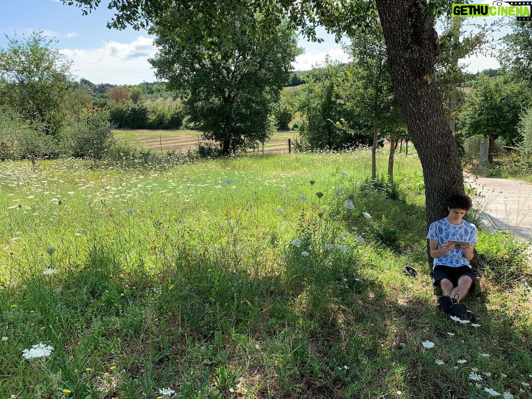 Lorenzo Ostuni Instagram - Se volete sentire la mia soave voce mentre siete appoggiati ad un albero, vi basta portare in vacanza l’iPad con @disneyplusit e mettere Ralph Spacca Internet, così spargete la mia voce per il mondo e diventerò immortale come l’albero #disneyplus #adv
