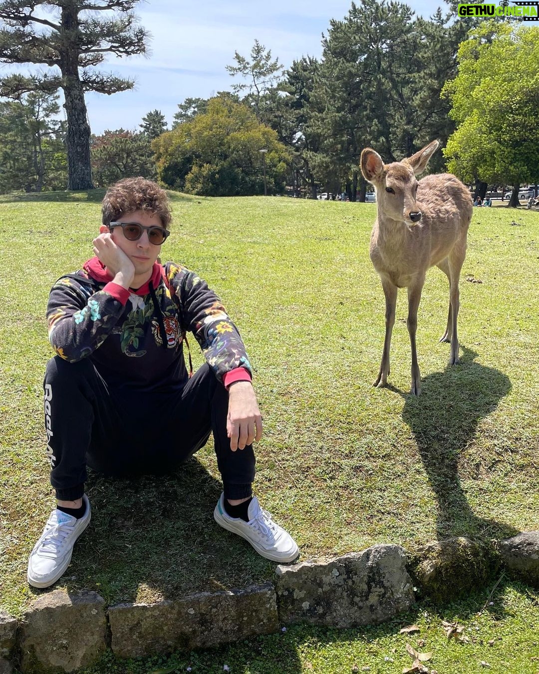 Lorenzo Ostuni Instagram - l’abbiamo fatto 🇯🇵