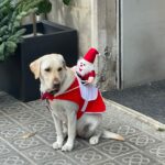 Lorenzo Ostuni Instagram – end of the year photo dump