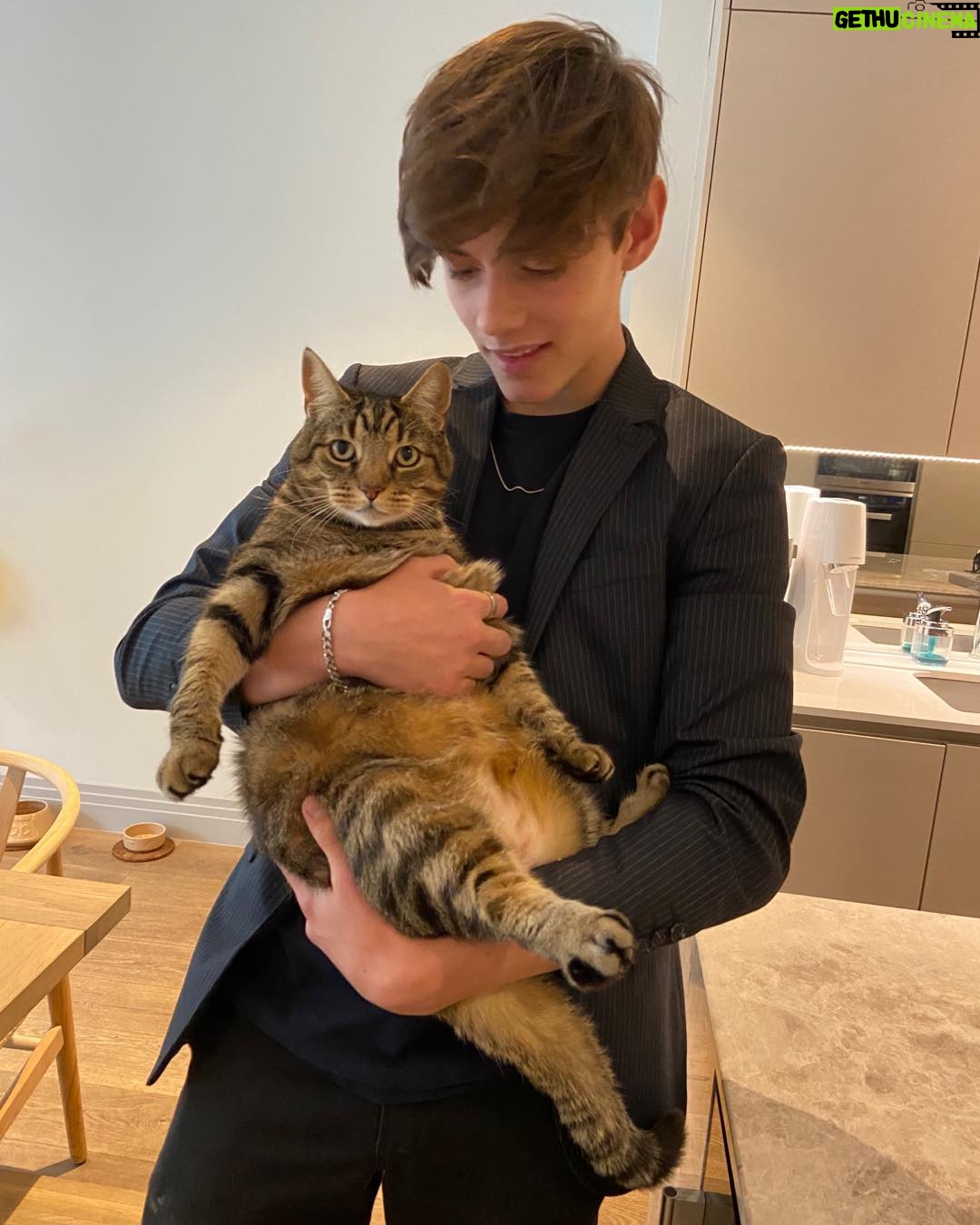 Louis Partridge Instagram - He’s just big boned I swear