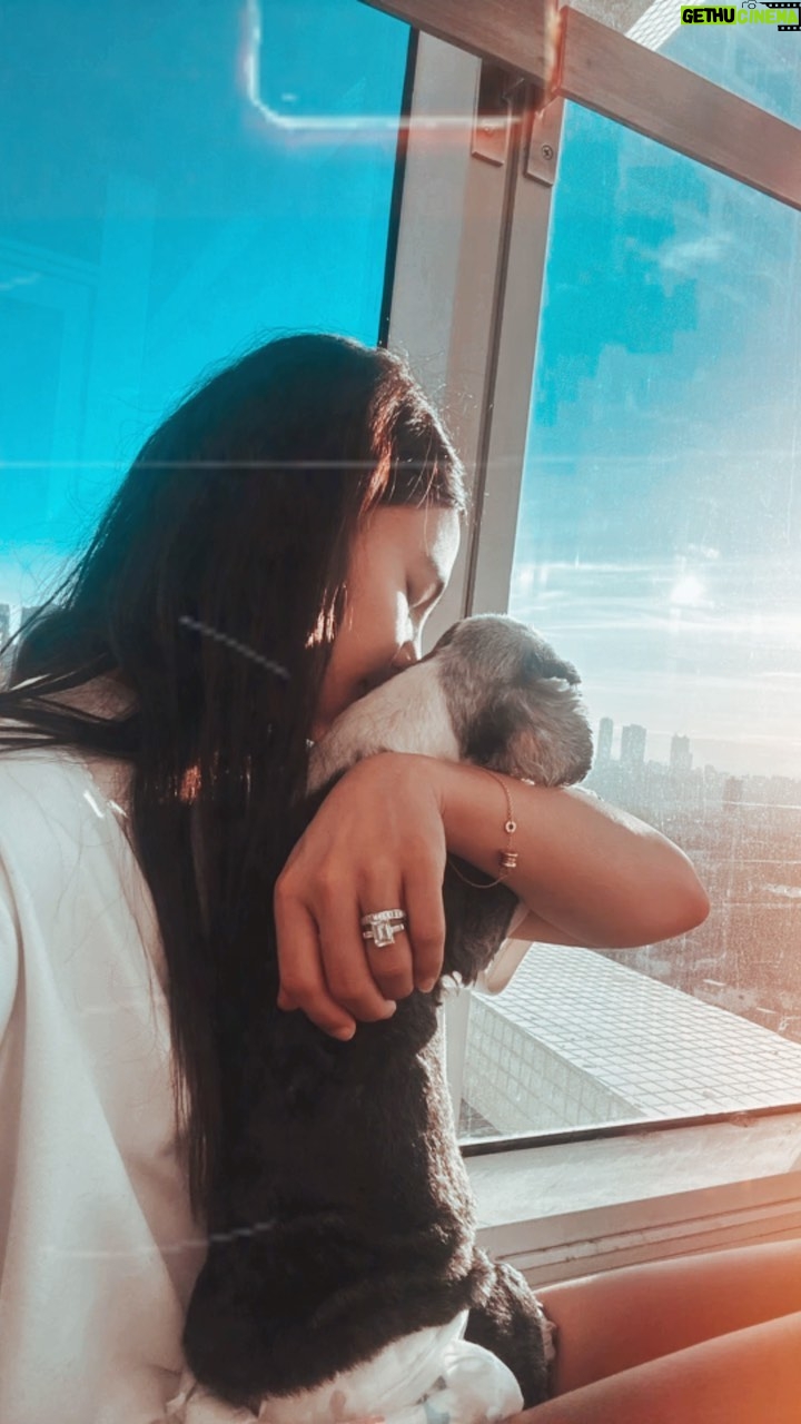 Lovi Poe Instagram - As I lay on the couch with Phoebe, Señorito started sniffing the balcony door as if inviting us to step outside and do what we usually do in these wee hours. Despite Phoebe’s frail condition, she managed to make her way to the door. I had the impulse to carry her to alleviate her efforts, yet it seemed she preferred to walk. And so I let her. Our 4 am routine usually involved a cup of coffee, running shoes, and a newly curated morning playlist. However, yesterday, we sat in silence, the three of us together, awaiting the break of dawn. I held Phoebe in my arms throughout the morning, and even Señor, usually prone to jealousy, remained quiet. It was a day where time seemed to stand still; I knew I was given a little bit more time. I was given the chance to be with her on her last sunrise. 🤍 Though the moment was tinged with sorrow, she had brought us immense joy for 17 years. Originally given a mere six months to live, she surpassed all expectations and graced us with an additional two beautiful years. 🤍 Run freely now, Phoebe, and jump around the clouds. Carry my love and kisses to my other cherished angels, Ross, Chibby, Chubby, and Seth.🤍 I love you always. Your human momma Lovi