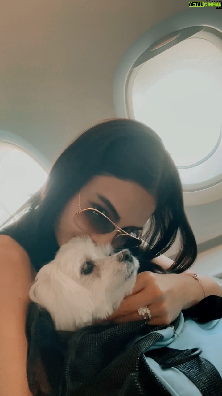 Lovi Poe Instagram - Señorito taking his first flight… ✈️ It was quite a journey for him but he was so well behaved and handled it very well. Proud dog mumma.♥️ Can’t thank you guys enough @gold_pet_transport @petdentity ♥️