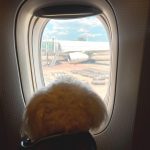 Lovi Poe Instagram - Señorito: Ciao Manila. ♥️