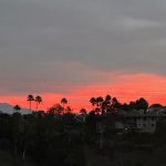 Lovi Poe Instagram - Looks like the beginning of this year’s #sunrise collection ♥️🌄📸 Los Angeles, California