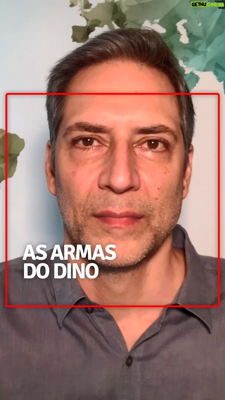 Luís Ernesto Lacombe Instagram - Mais uma operação da Polícia Federal prova que Flávio Dino mente descaradamente sobre as armas usadas por bandidos. Essa é mais uma razão para que os senadores barrem a indicação dele para o STF. #canaldolacombe #canalluisernestolacombe #lacombe #luisernestolacombe #youtube #jornalismo #jornalista #armas #cacs #bandidos #traficantes #tráfico #contrabando