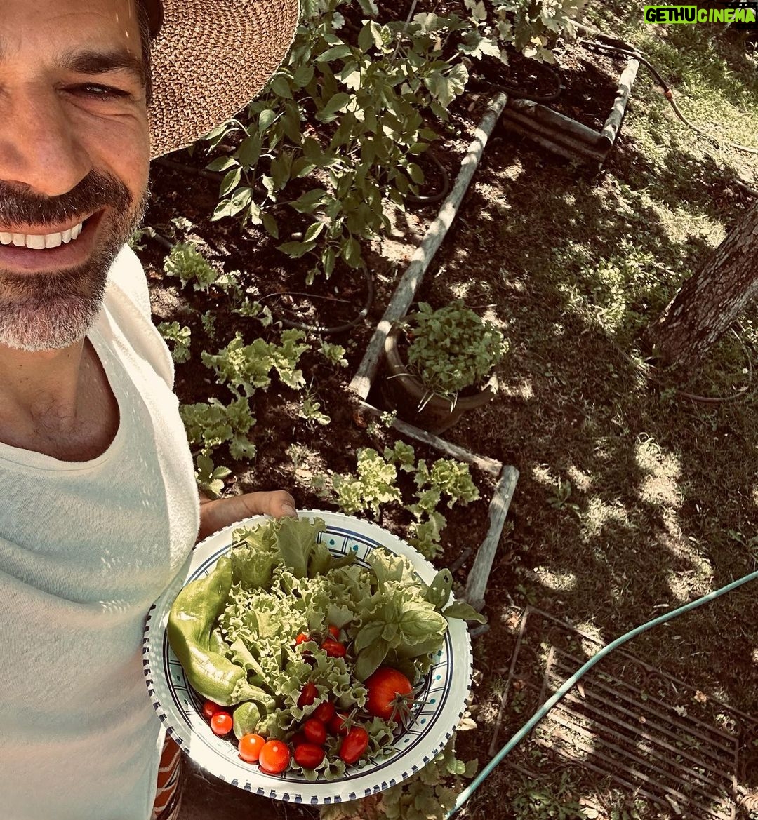 Luca Argentero Instagram - Come da tradizione… CATCH OF THE DAY #gardeningischeaperthantherapyandyougettomatoes #primoraccoltodistagione