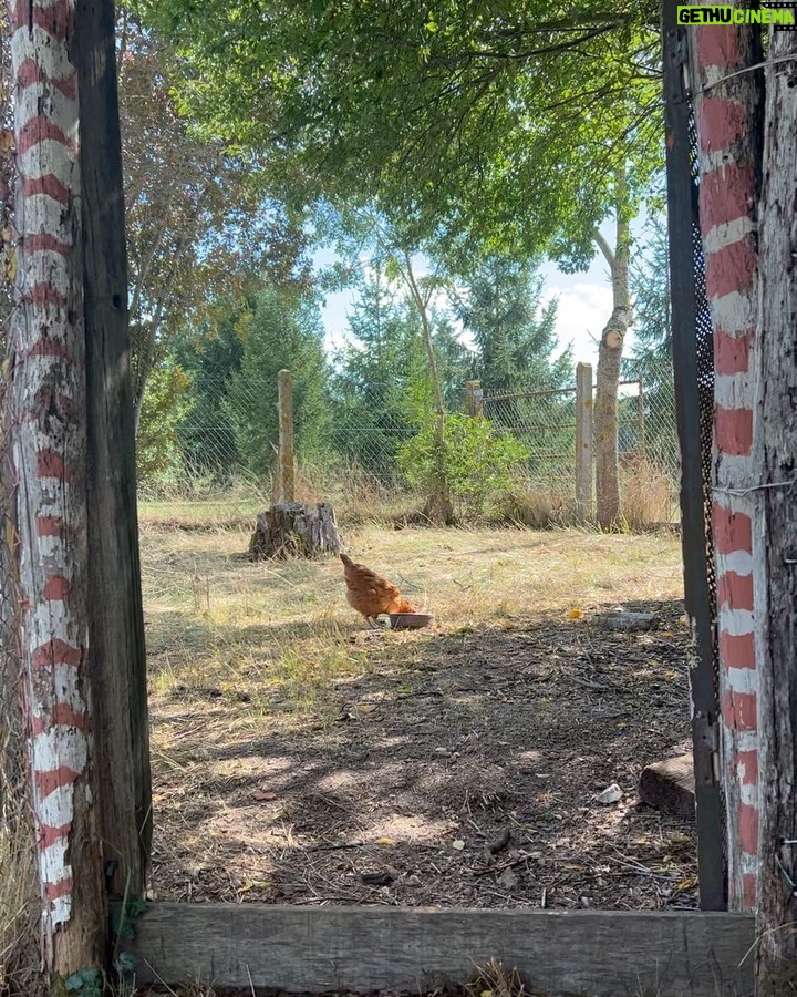 Lucas Bravo Instagram - Songs of Waking Earth