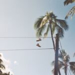 Lucas Bravo Instagram - 35mm Earth