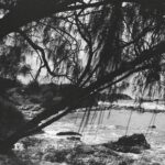 Lucas Bravo Instagram - 35mm Earth