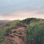Lucas Bravo Instagram - 35mm Earth