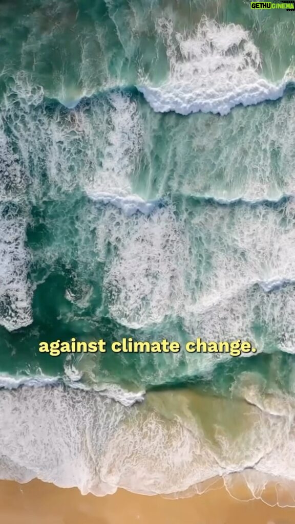 Lucas Bravo Instagram - 🌊 The Arctic Ocean is at stake 🌊 @jonasgahr @regjeringen @espenbartheide @terjeaasland @erna_solberg @hoyre You can either be our climate champions and protect us all from this catastrophy or be at the forefront of an aberation our future generations will have to deal with. On January 9th you’re writing history. We count on you ! To make sure they hear us. You can also sign our petition in my bio. Merci ©️Schmidt Ocean Institute pour les images des Abysses et ©️Deep Sea Conservation Coalition pour les animations des machines d’exploitation. Vidéo: Solal Moisan et lost_panton Écriture: Camille Etienne et Anne-Sophie Roux