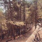 Lucas Bravo Instagram – White Noise 🌱 GR20- Corsica