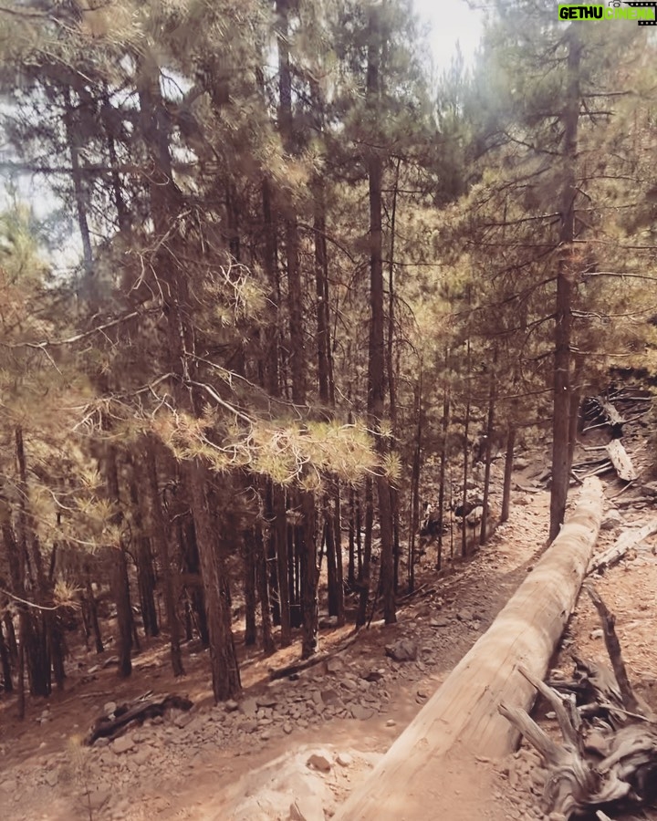 Lucas Bravo Instagram - White Noise 🌱 GR20- Corsica