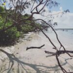 Lucas Bravo Instagram - Down under. Earth