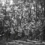 Lucas Bravo Instagram - 35mm. Earth