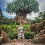 Lucas Burgatti Instagram - Animal Kingdom 🦁🌳 Primeiro parque da Disney concluído com sucesso !!! Sonhando acordado com @meu.sonho.magico
