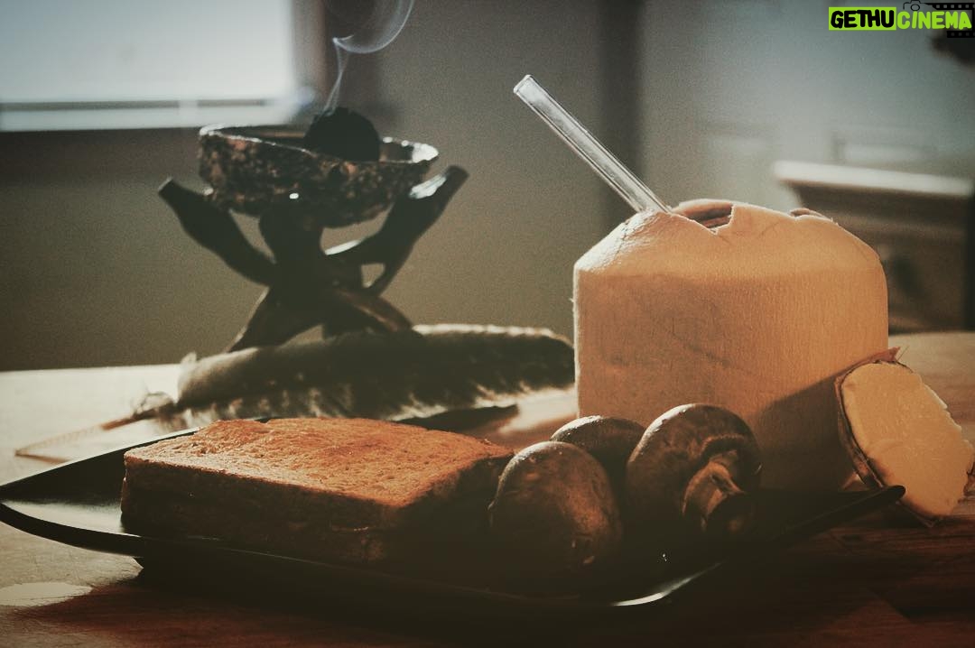 Lucas Jade Zumann Instagram - Good day to you all. I really hope that you all had a pleasant day. I know I did. You can't go wrong with fresh coconut water and a bundle of sage.