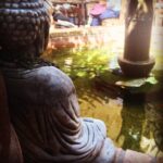 Lucas Jade Zumann Instagram - #buddhalove The Green Temple Veggie Place