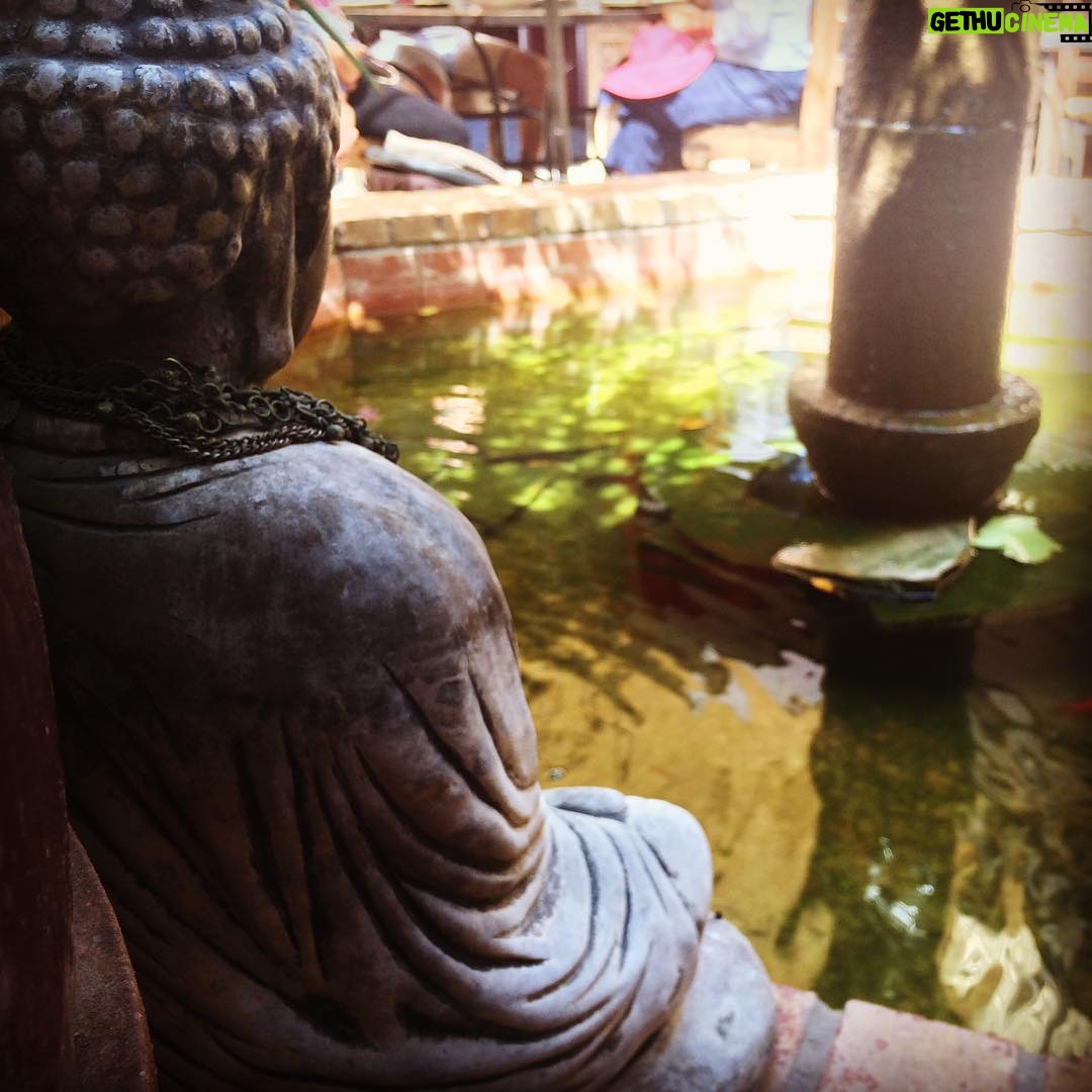 Lucas Jade Zumann Instagram - #buddhalove The Green Temple Veggie Place