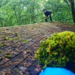Lucas Jade Zumann Instagram - living in the forest. building shelves and transplanting moss...